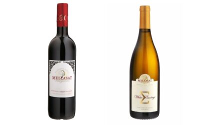 Online Wine Sales